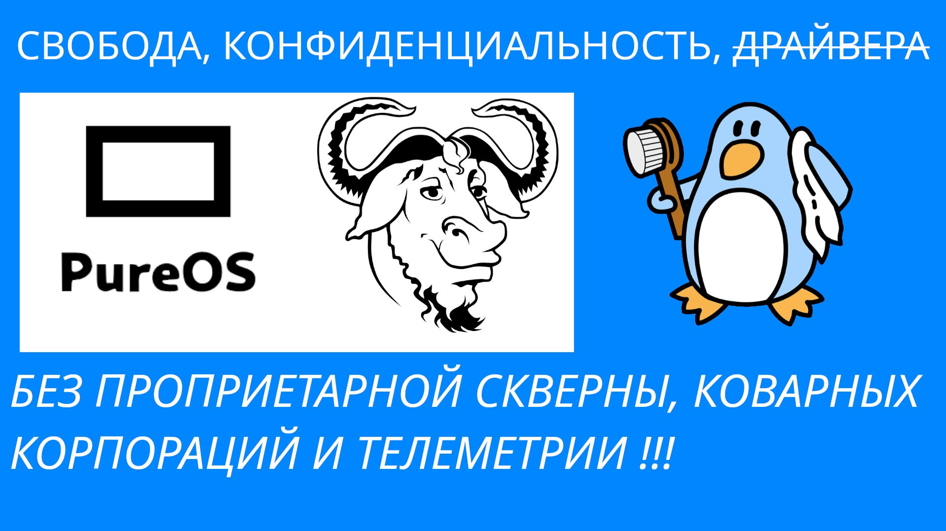 PUREOS КОНФИДЕНЦИАЛЬНОСТЬ И СВОБОДА | LINUX LIBRE
