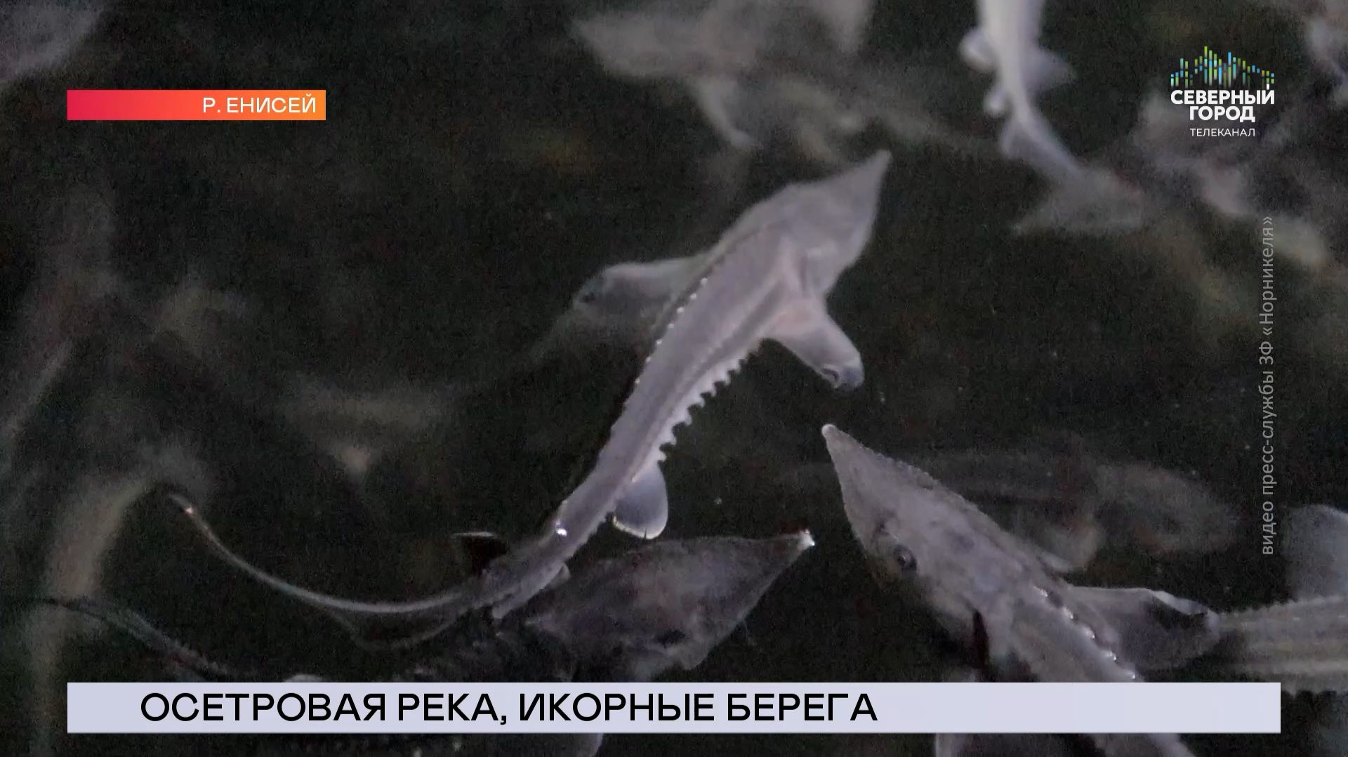 НОВОСТИ СЕВЕРНОГО ГОРОДА, 23.09.2026