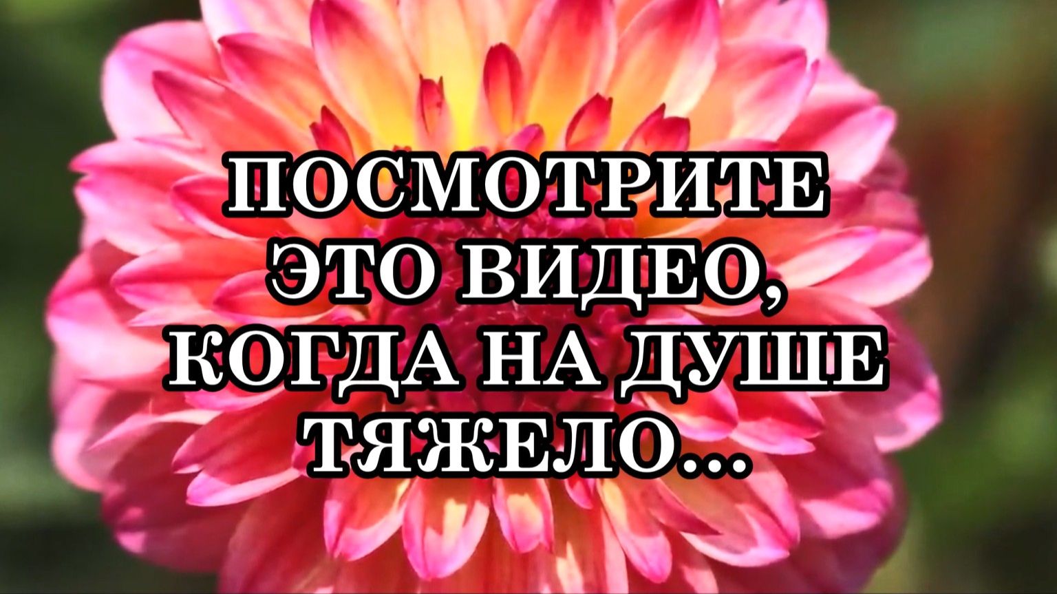КОГДА НА ДУШЕ ТЯЖЕЛО, КТО ПЕРЕЖИВАЕТ НЕПРИЯТНОСТИ, ПОТЕРИ, РАЗОЧАРОВАНИЕ, ПОСМОТРИТЕ ЭТО ВИДЕО…
