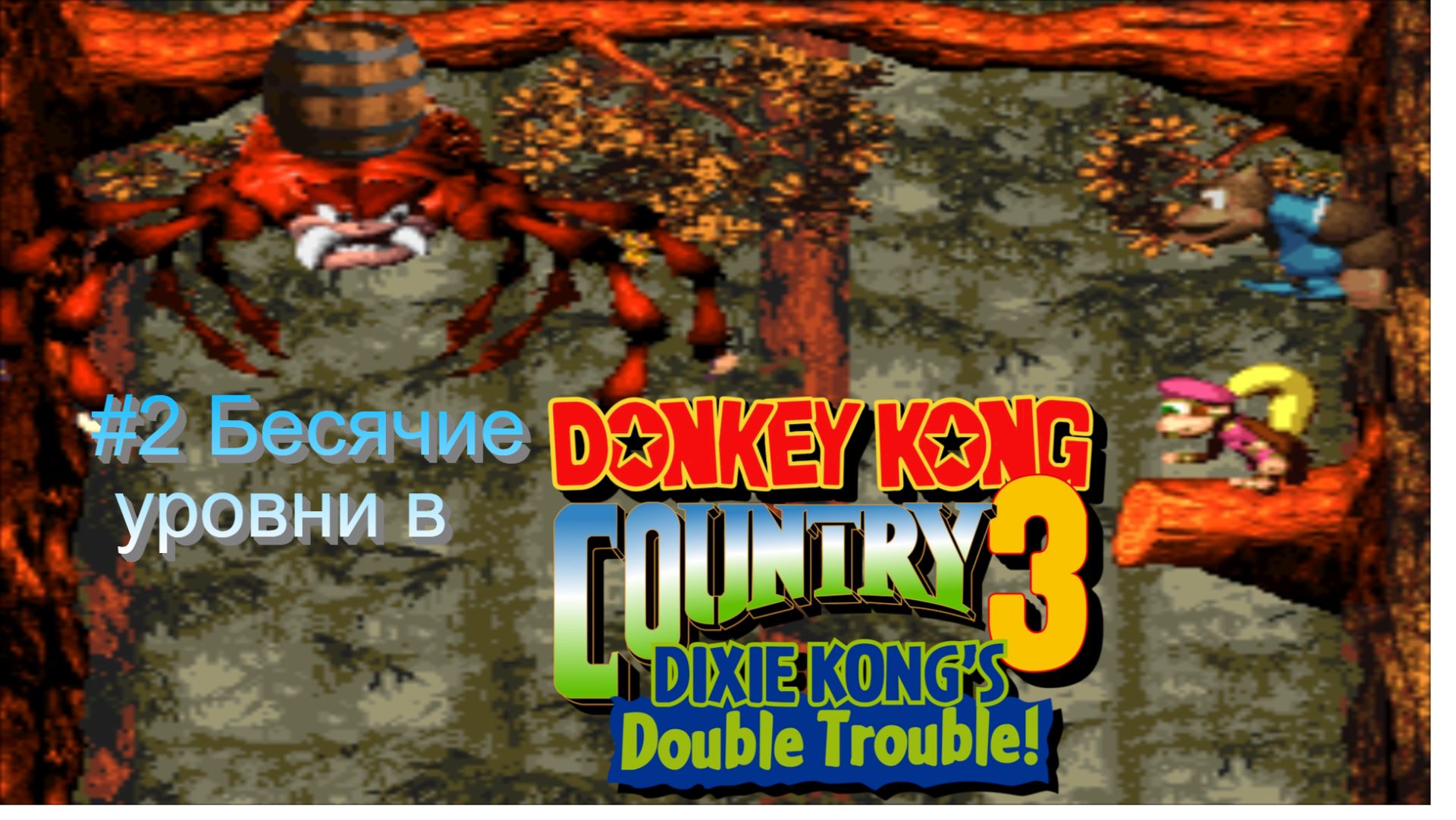 Donkey Kong Country 3