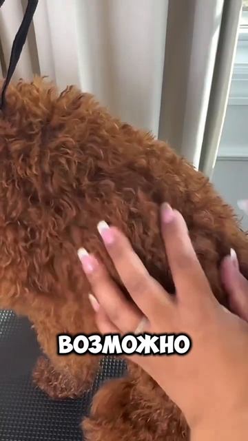|СТРАШНЫЕ ИСТОРИИ|Даша Рокс|1/3|«ночной кошмар»|ссылка на Макс канал в описании видео|