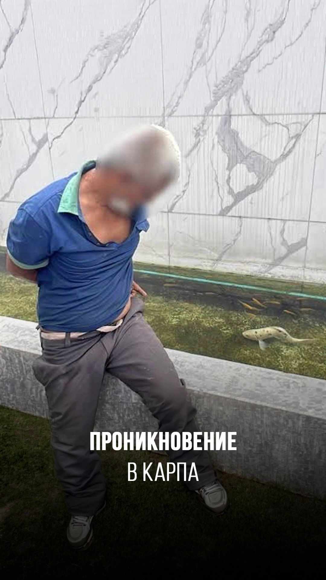 Проникновение в карпа