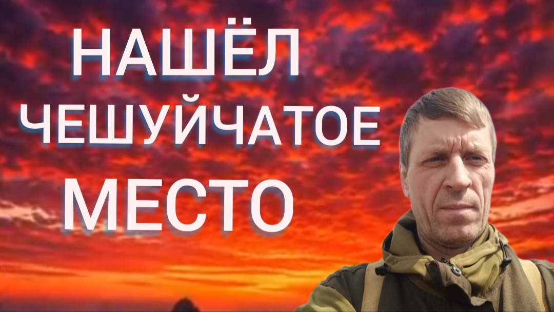 коп на песочном поле