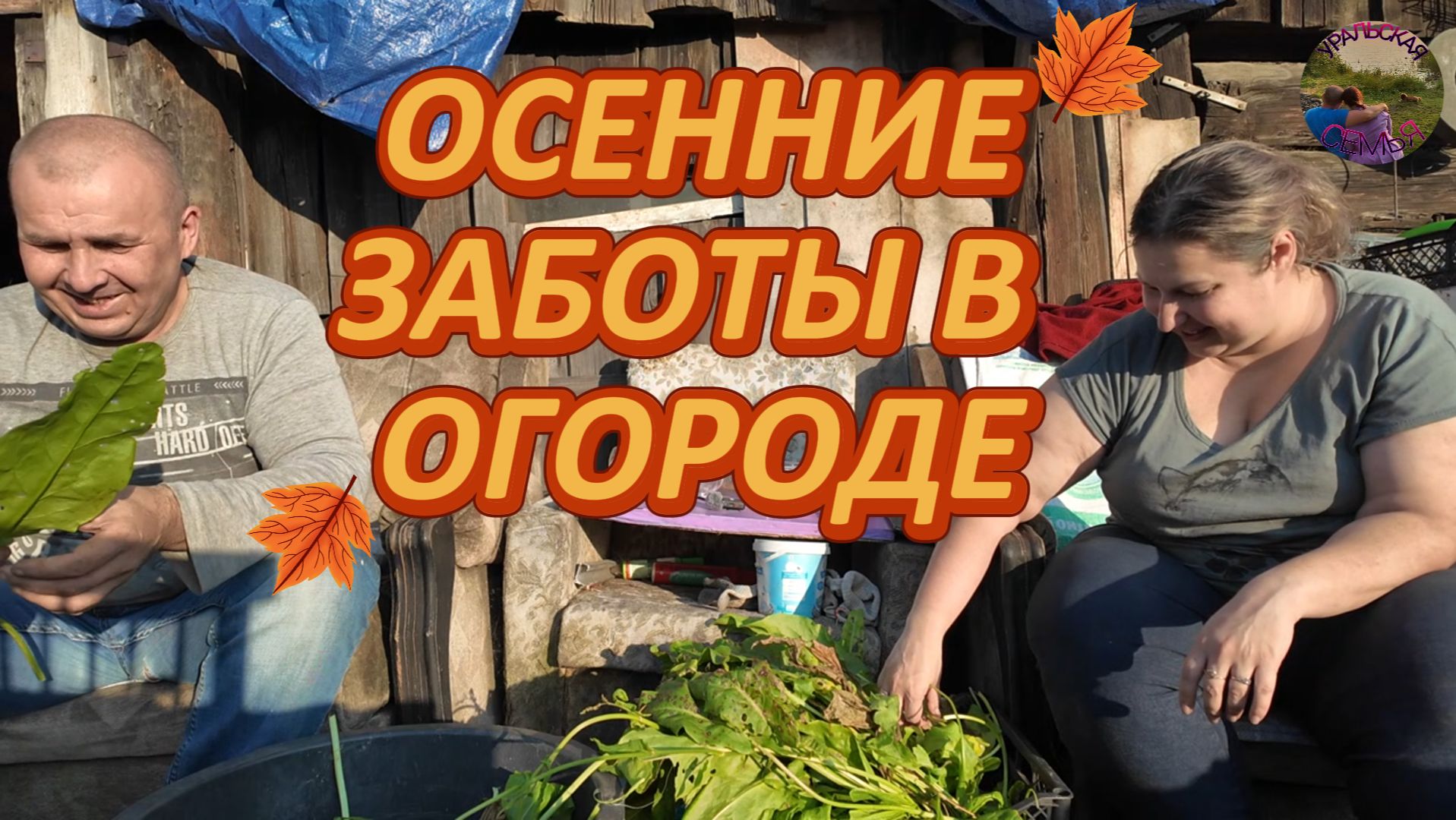 ОСЕНЬ В ОГОРОДЕ