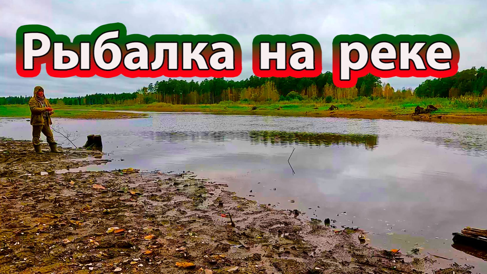 Рыбалка на фидер