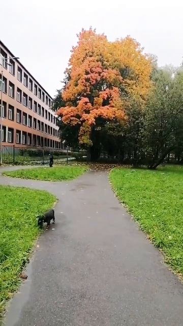 🍂 осень 🍂