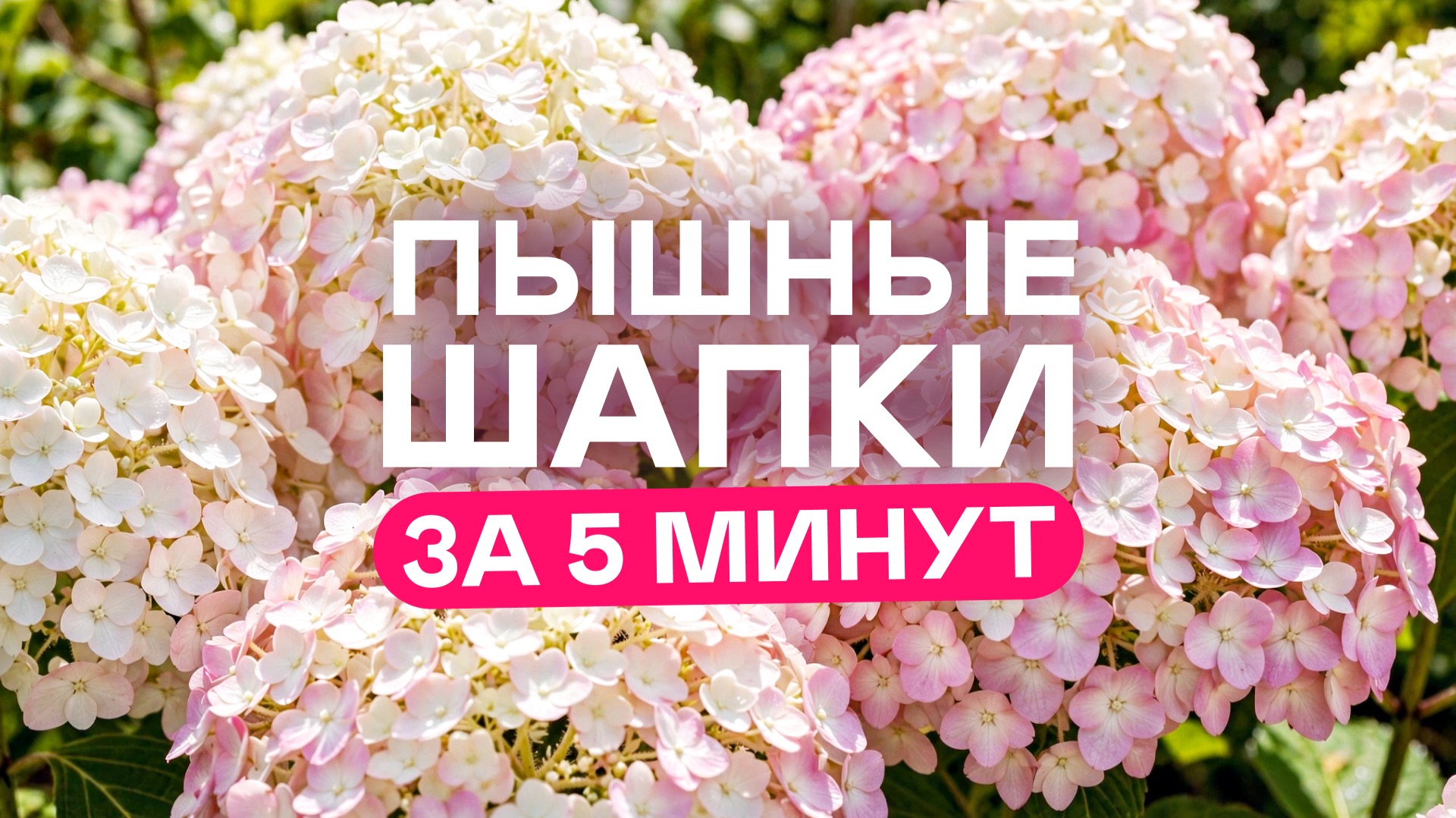 ПЫШНАЯ гортензия за 22 минуты! Не поверите РЕАЛЬНО РАБОТАЕТ