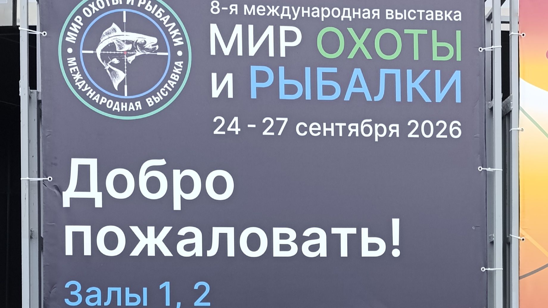 Выставки
