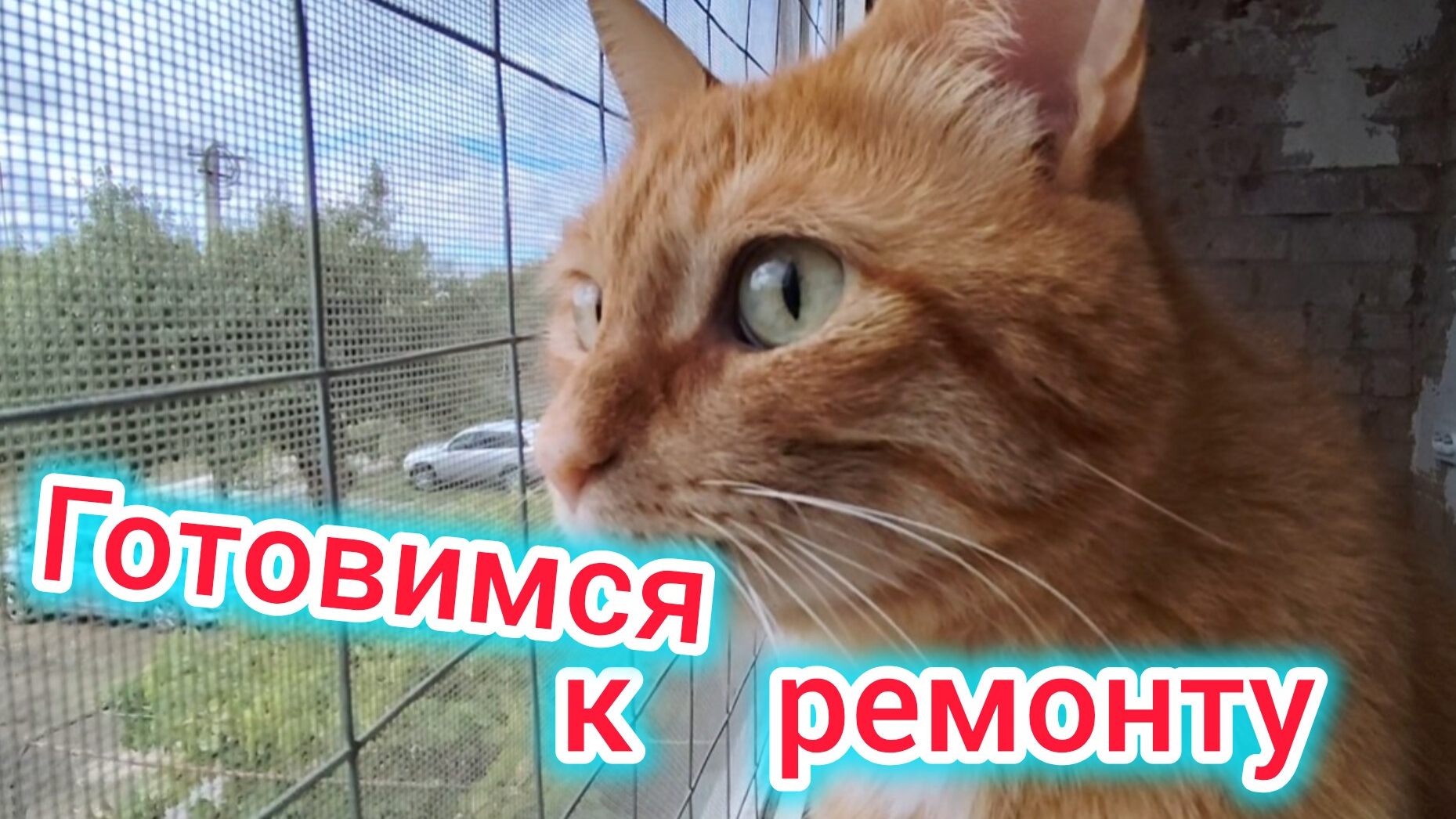 Разбирают КРЫШУ на доме🫣/Собрали ТУМБОЧКУ/Куда девать ВЕЩИ?! Подготовка к РЕМОНТУ
