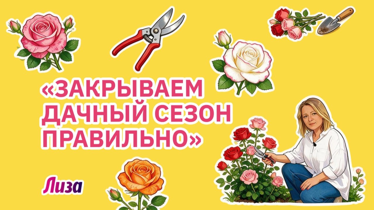 🍁НЕ ЗАБУДЬ СДЕЛАТЬ ЭТО ОСЕНЬЮ НА ДАЧЕ 💛 5 важных дел в саду перед зимой.
