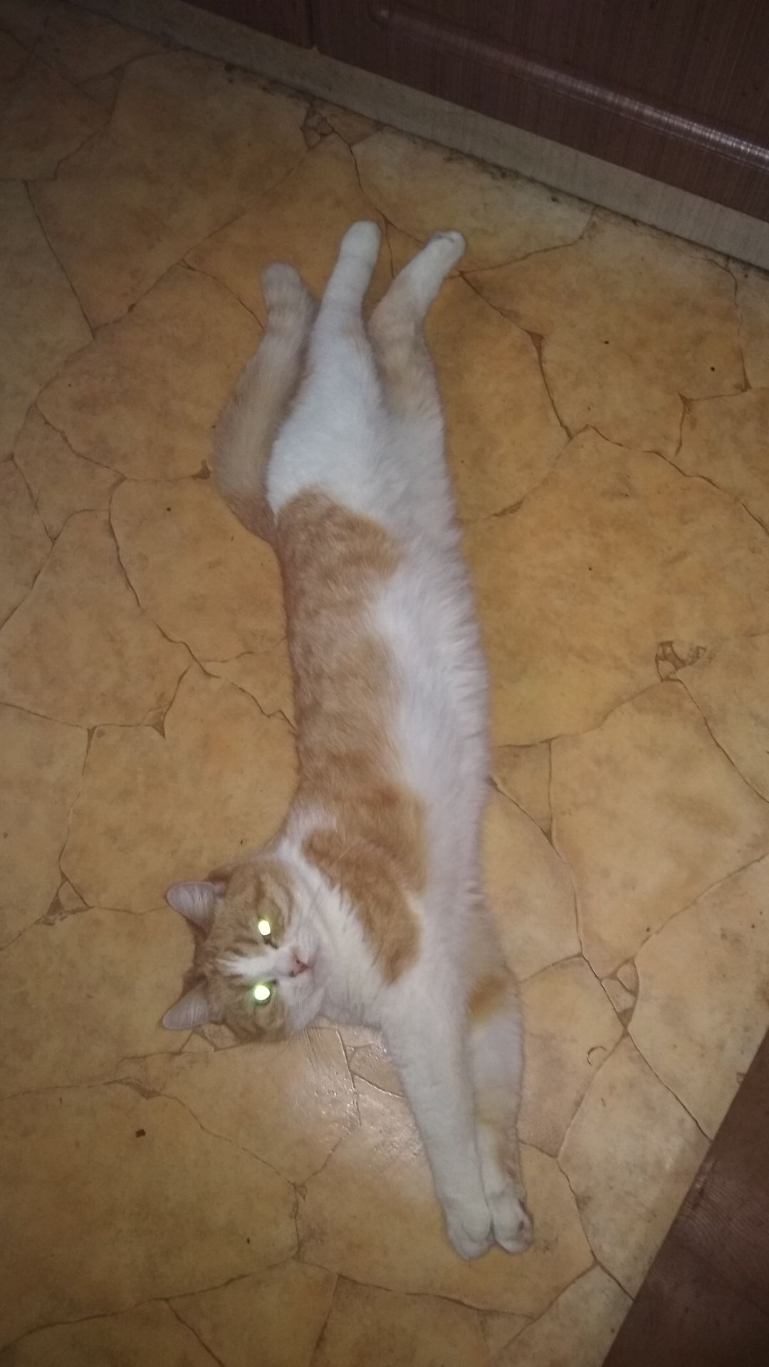 -ХВАТИТ ЗАГОРАТЬ.. ИДИТЕ ИСКУПАЙТЕСЬ😁🤣
