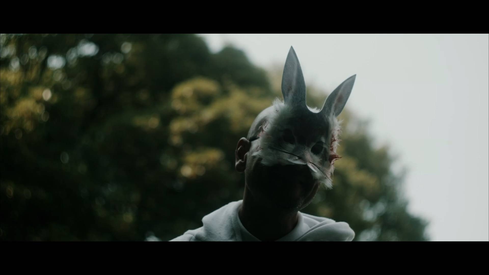 Алиса в стране кошмаров (2023) / Alice In Terrorland
