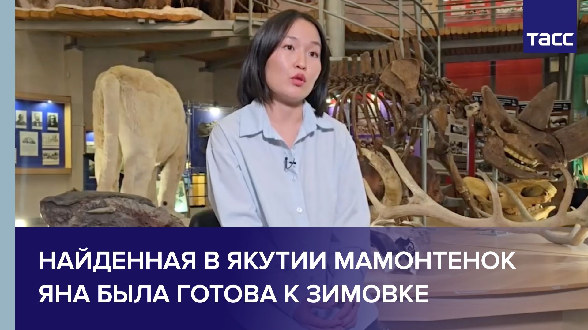 ИНТЕРВЬЮ ТАСС