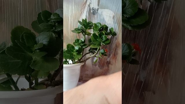 Таро.Что вы сейчас в силе сделать.