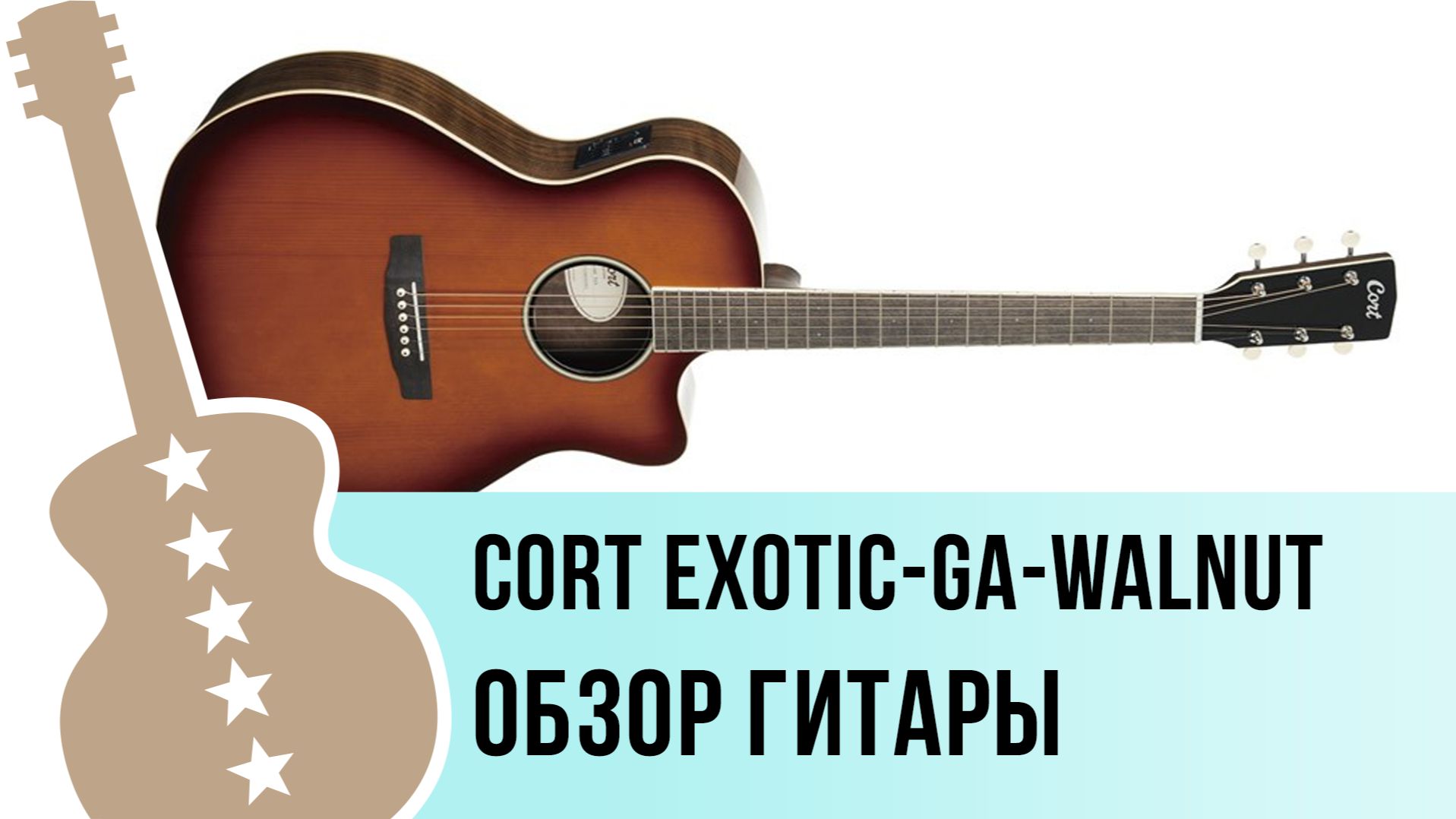 Cort Exotic-GA-Walnut - обзор гитары