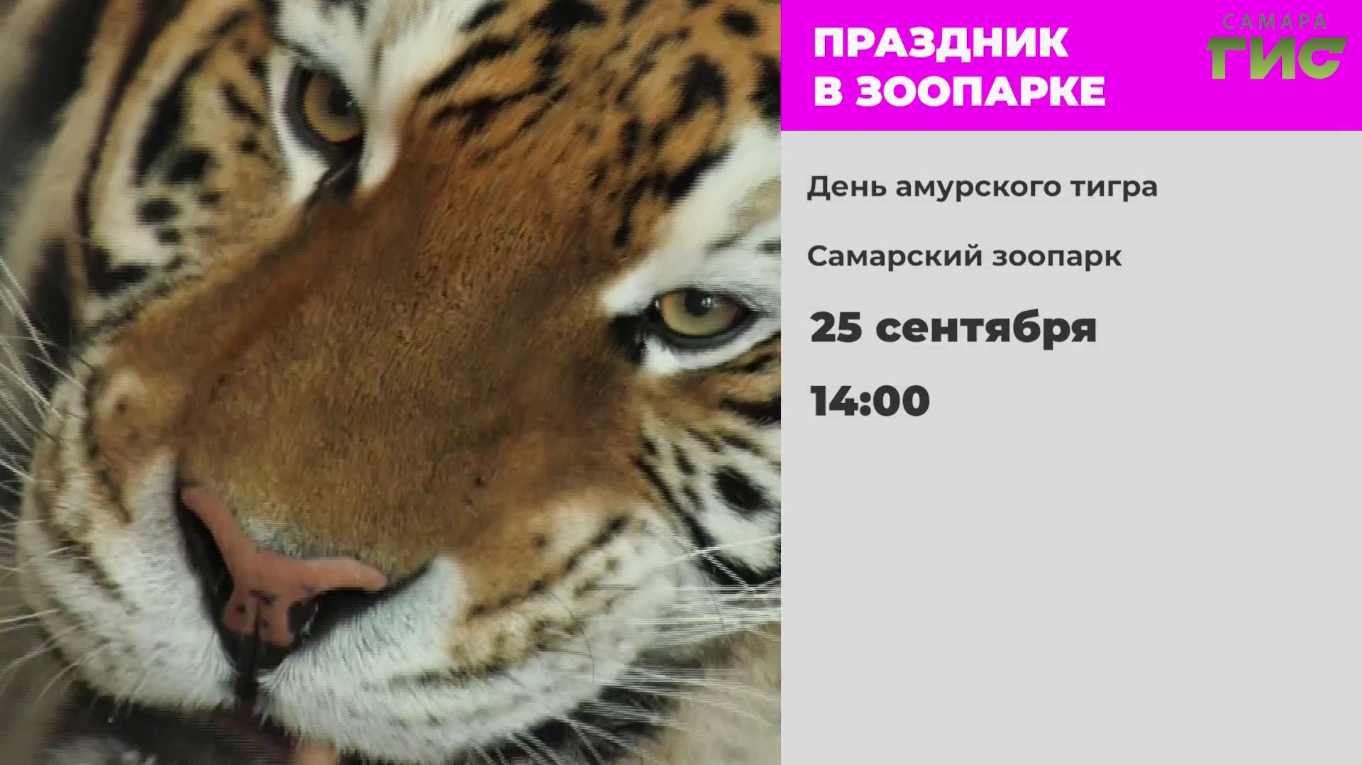 ″Афиша″