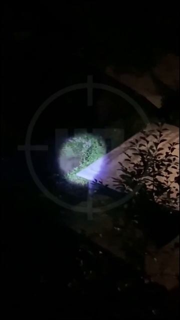Очередной косолапый бандит вышел на гастроли в Сочи

На этот раз медведя заметили в Верхнем Юрте.