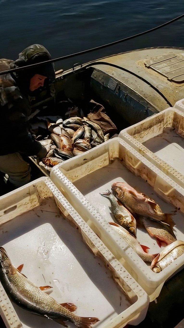🎣 Летняя рыбалка в протоке Оби