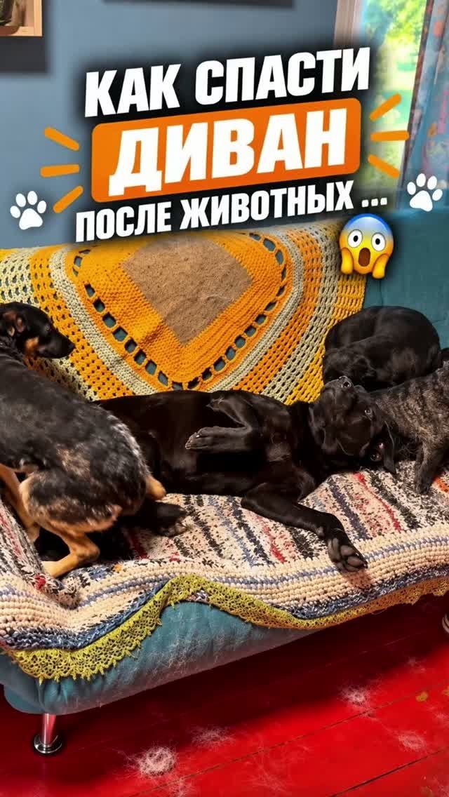 Думали выкинуть ДИВАН, но спас Homiko 🔥🫶🏻