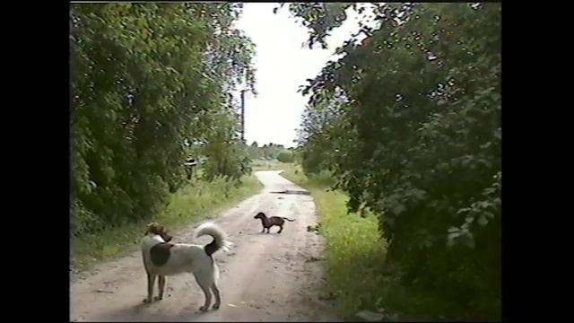 Деревня