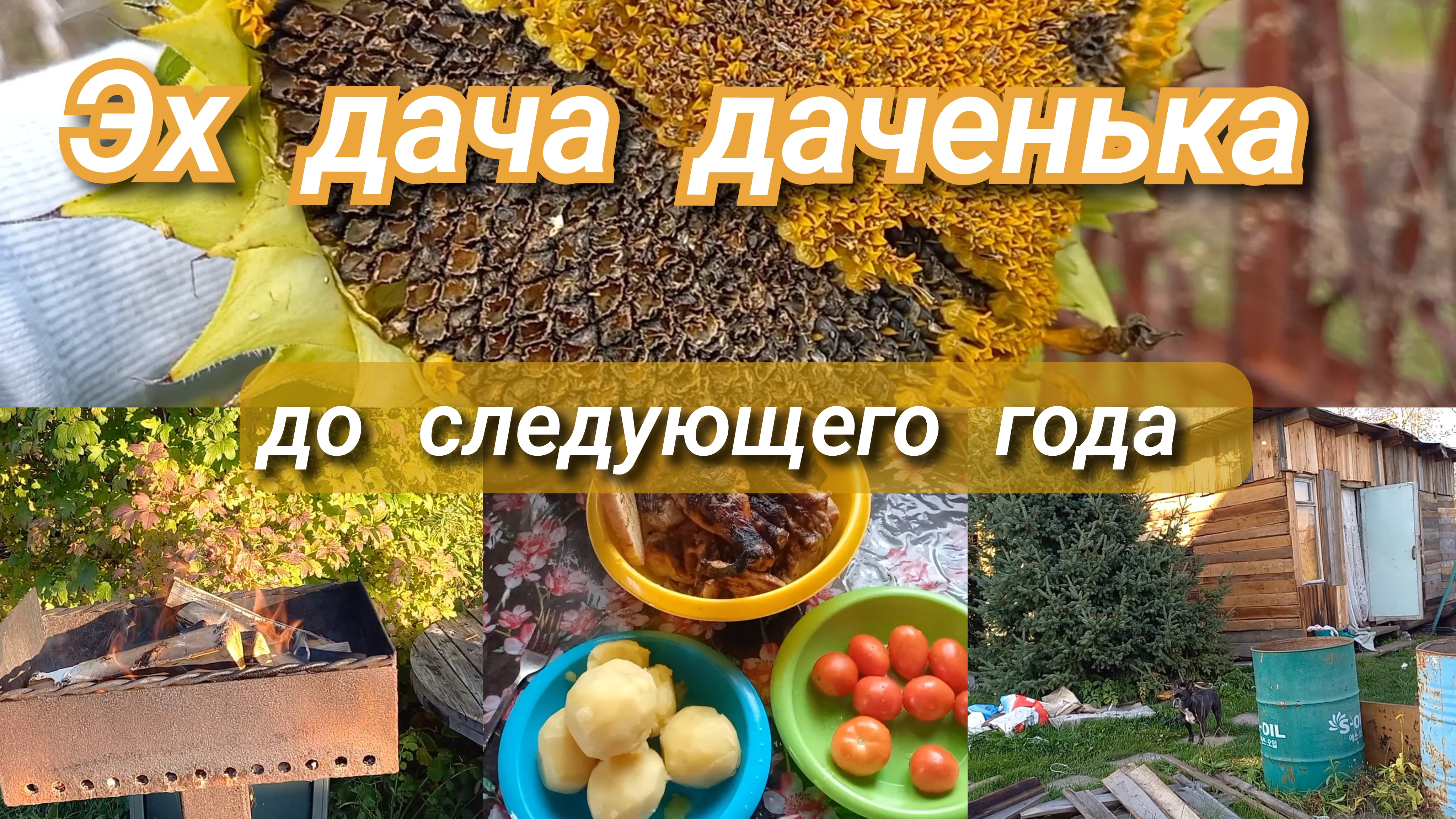 Эх дача, даченька//до следующего года