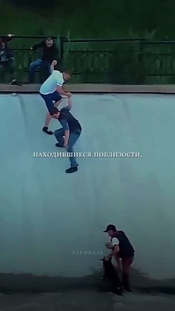 Вот почему все пожимают ему руку. До слёз