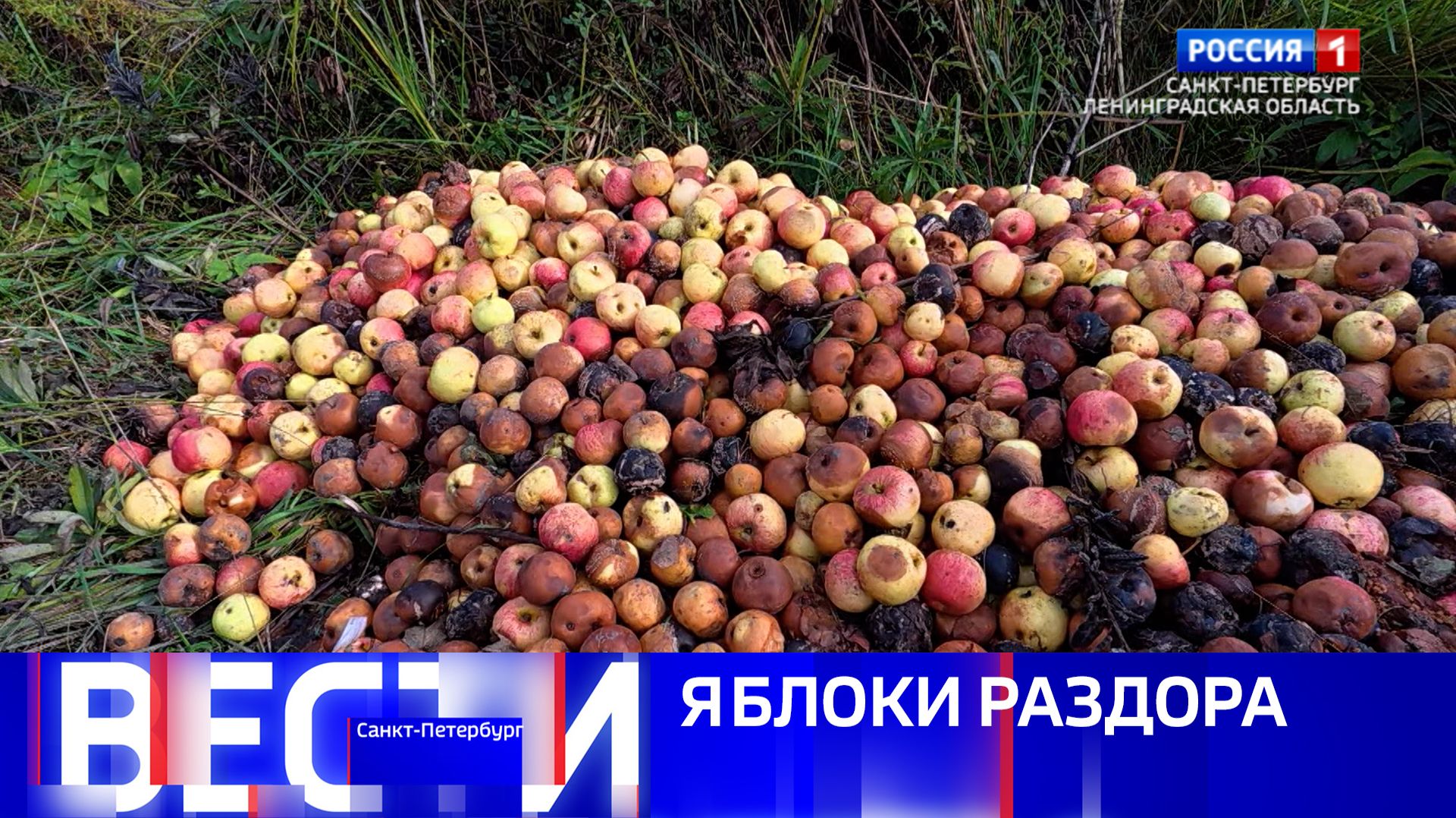 Вести Санкт-Петербург. Выпуск 21.10 от 24.09.2026