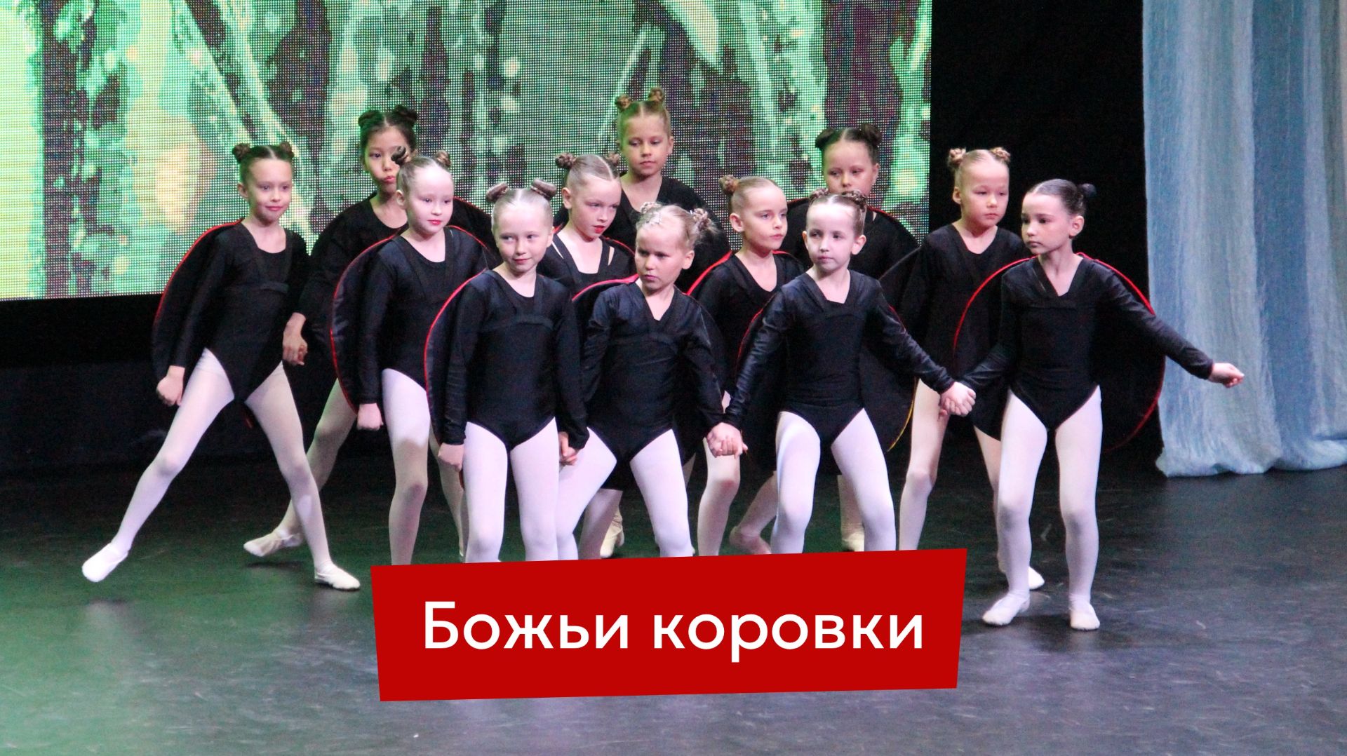 Крылышки в горошек: танец, который умилил всех 🐞