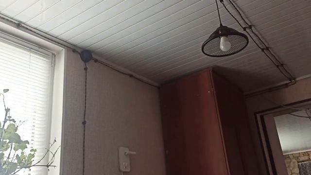 5 декабря 2024 г. Мой дом. Доделала потолок и проводку. Гости))