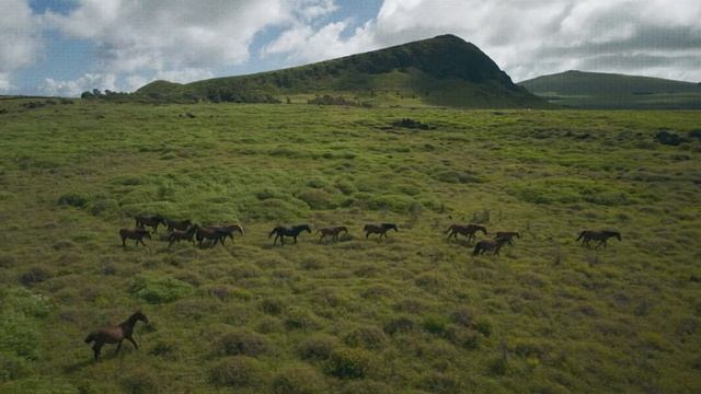 MARTIN MCDONAGH ｜ Landscapes ｜ Searchlight Pictures