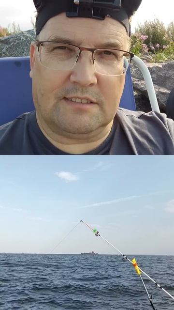 что она делает #рыбалкавпитере