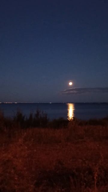 полнолуние #рыбалкавпитере