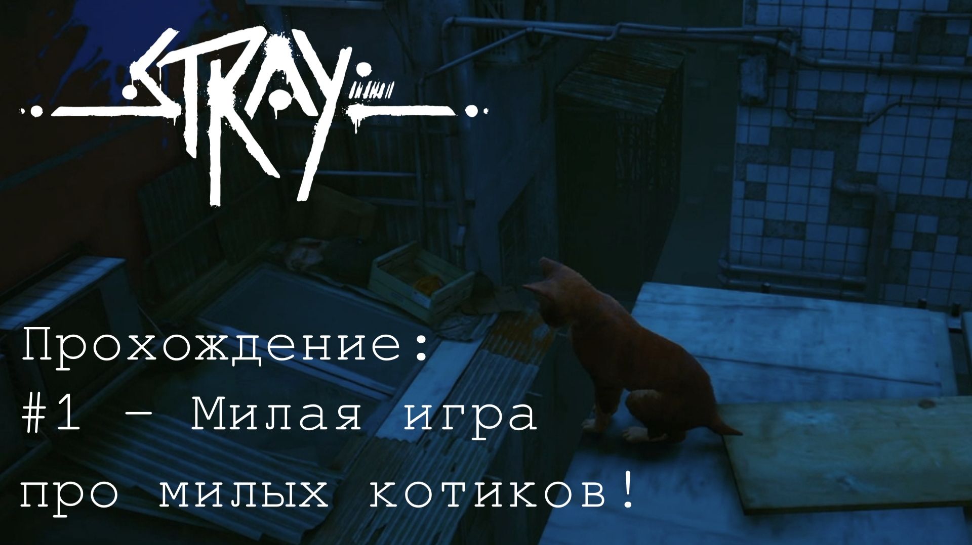 #1 - Милая игра про милых котиков! // Stray // Прохождение