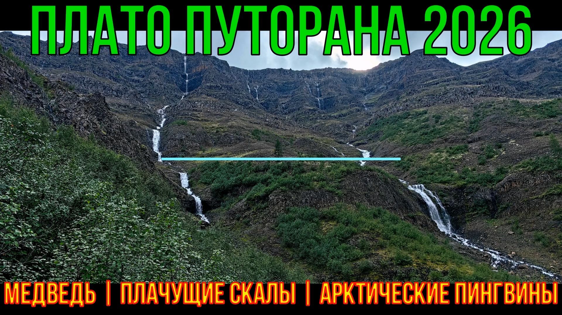Плато Путорана | 2026 | День 11 | Медведь | Плачущие скалы | Арктические пингвины