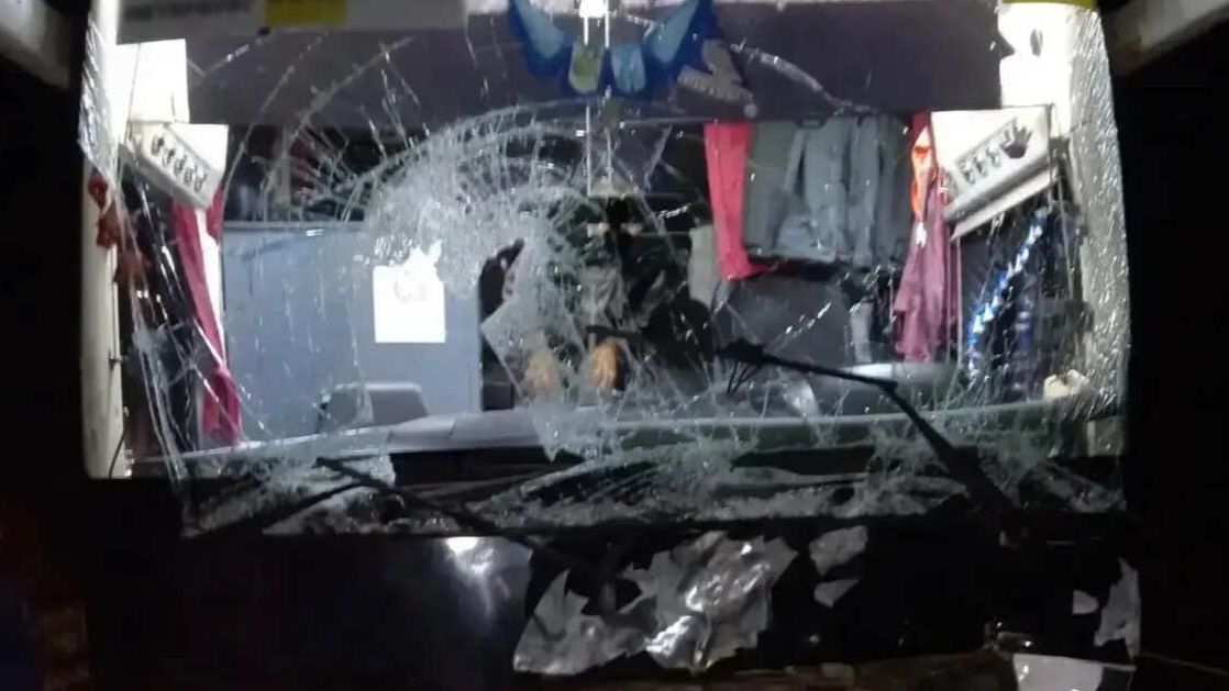 Автобус сбил лося в Ленинградской области