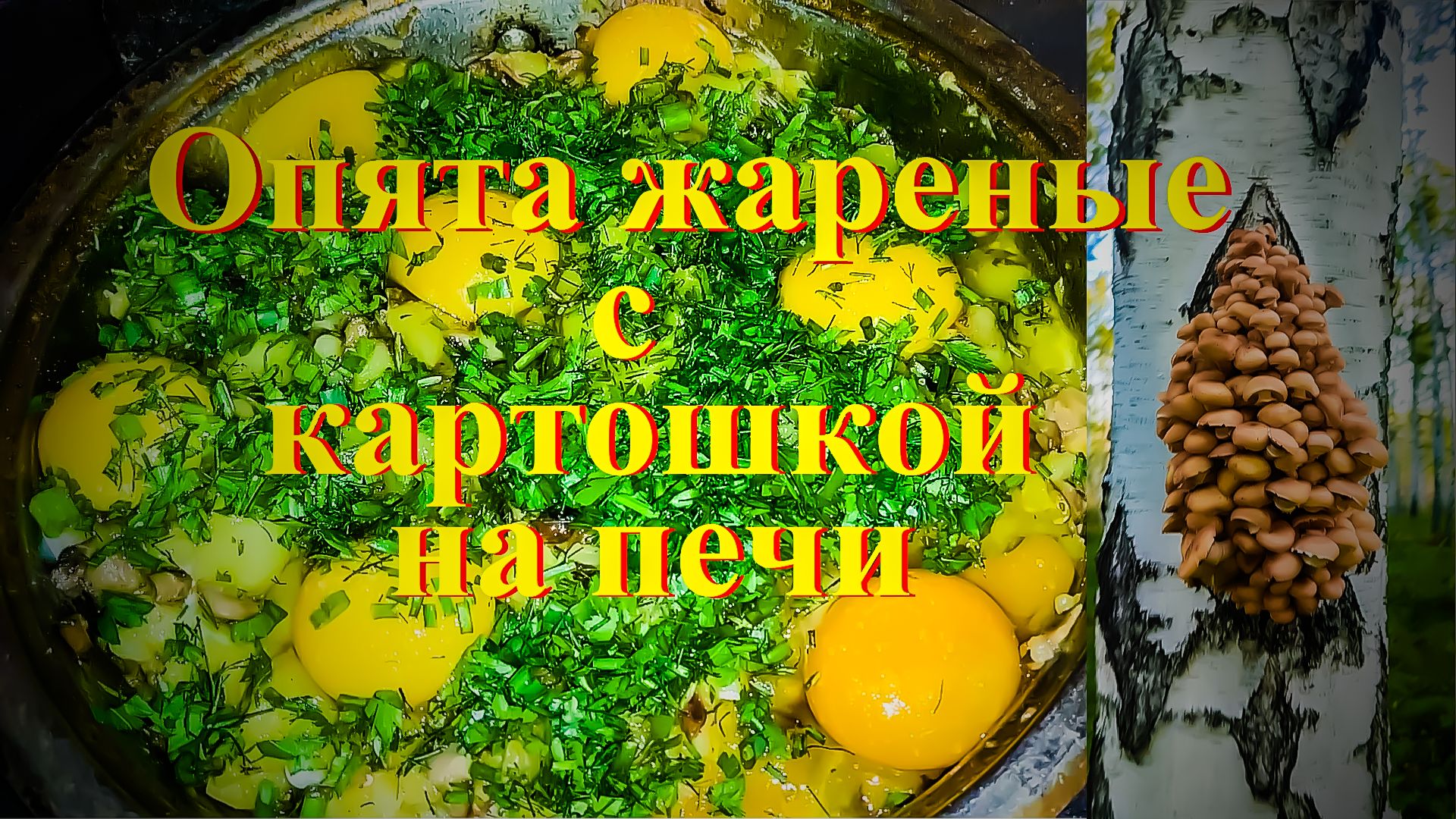 Грибы опята. Опята жареные с грибами