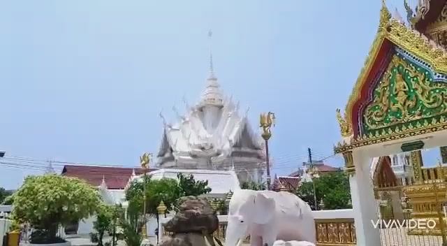 ТАЙЛАНД. ПАТТАЙЯ МАРТ. ТЕРРИТОРИЯ ХРАМА ВАТ НОНГ ЯЙ