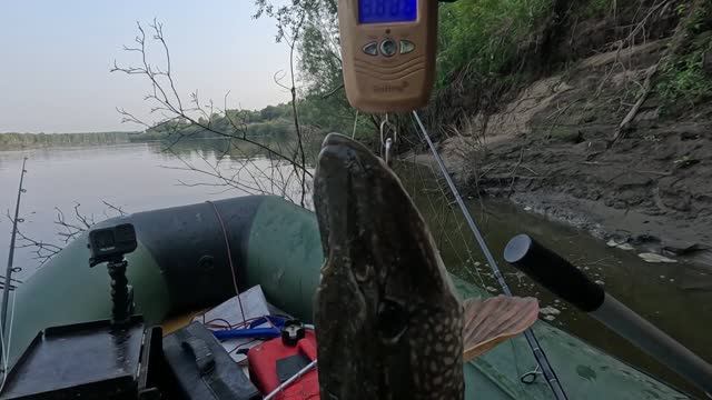 🔺️🎣ТЯЖЕЛЫЙ СЕДЬМОЙ🎣🔺️fishing#туризм#природа#ловля#рыбалка#щука#ловлящуки#ночевка#Чулым#река#