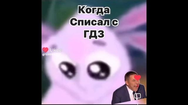 незнаю 2