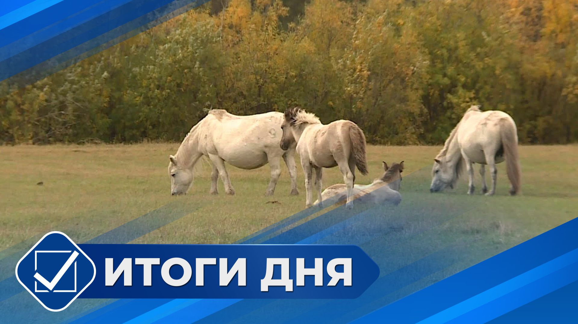 Итоги дня. 24 сентября 2026 года