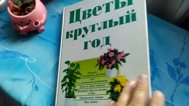 Обзор пополнения домашней библиотеки 💚