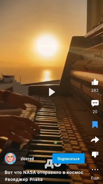 забавные факты людей 9#