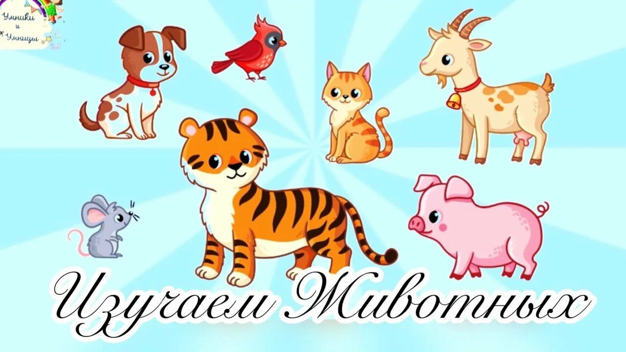 Развивашки