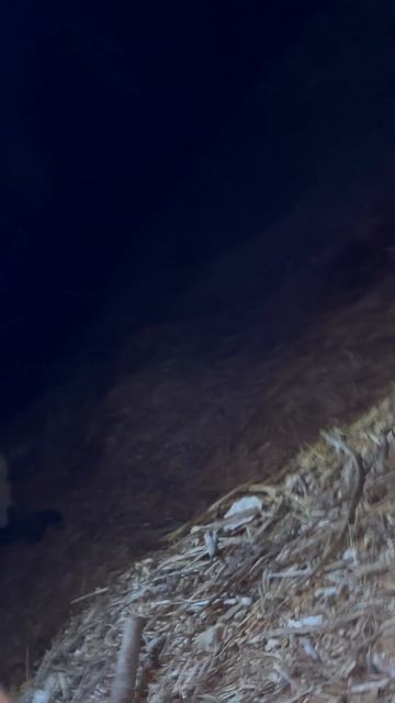 Ночью