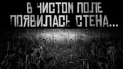 В ЧИСТОМ ПОЛЕ ПОЯВИЛАСЬ СТЕНА... Страшные истории на ночь.