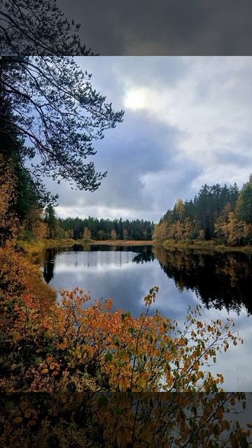 🍁🍂 КАРЕЛЬСКАЯ ЗОЛОТАЯ ОСЕНЬ.. 🍂🍁