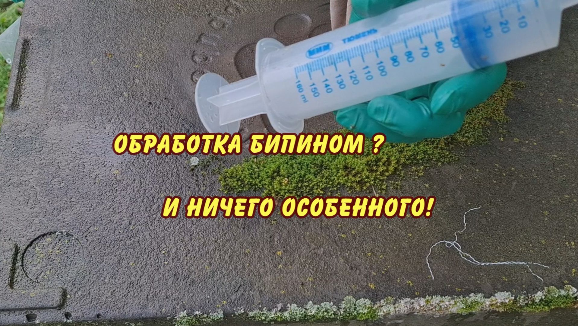 пчеловодство