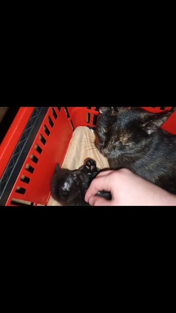 нарезка из жизни #8