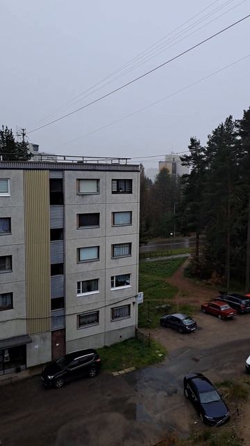 Утро в ТУМАНЕ