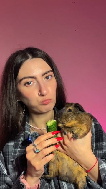 Едим со свинкой огурец